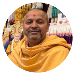 Shri Shri Saralajeevan Das